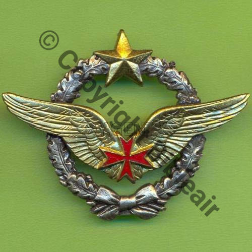 NH BREVET CONVOYEUR DE AIR DrP 2Anneaux Guilloche Embouti 11Eur01.07